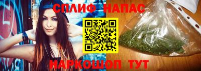 PSILOCYBIN Можга