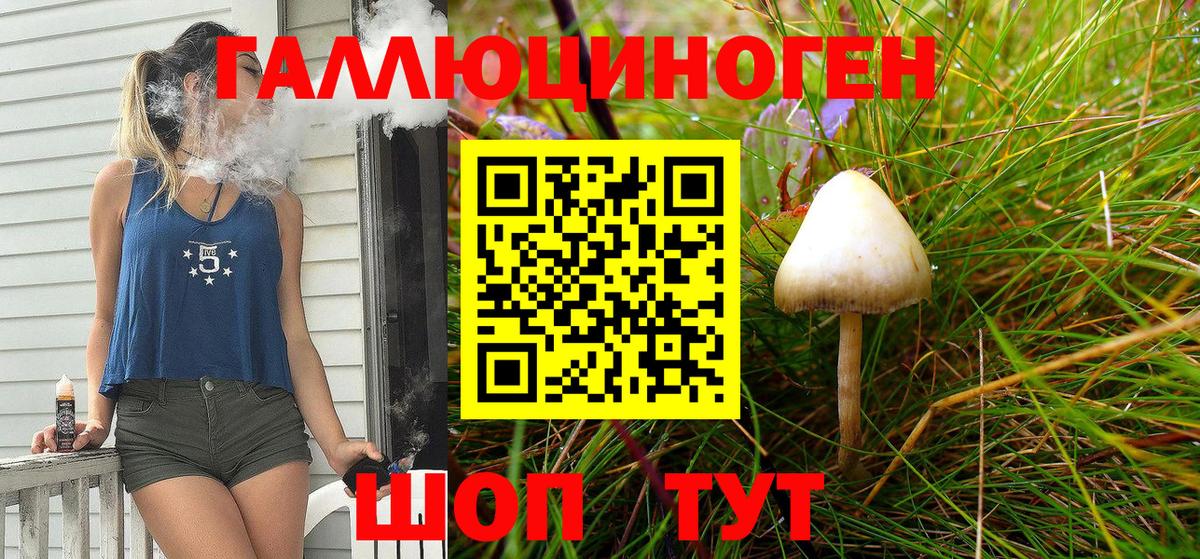цена наркотик  Вход с VPN  Урус-Мартан  Галлюциногенные грибы мицелий  Псилоцибиновые грибы Magic Shrooms 
